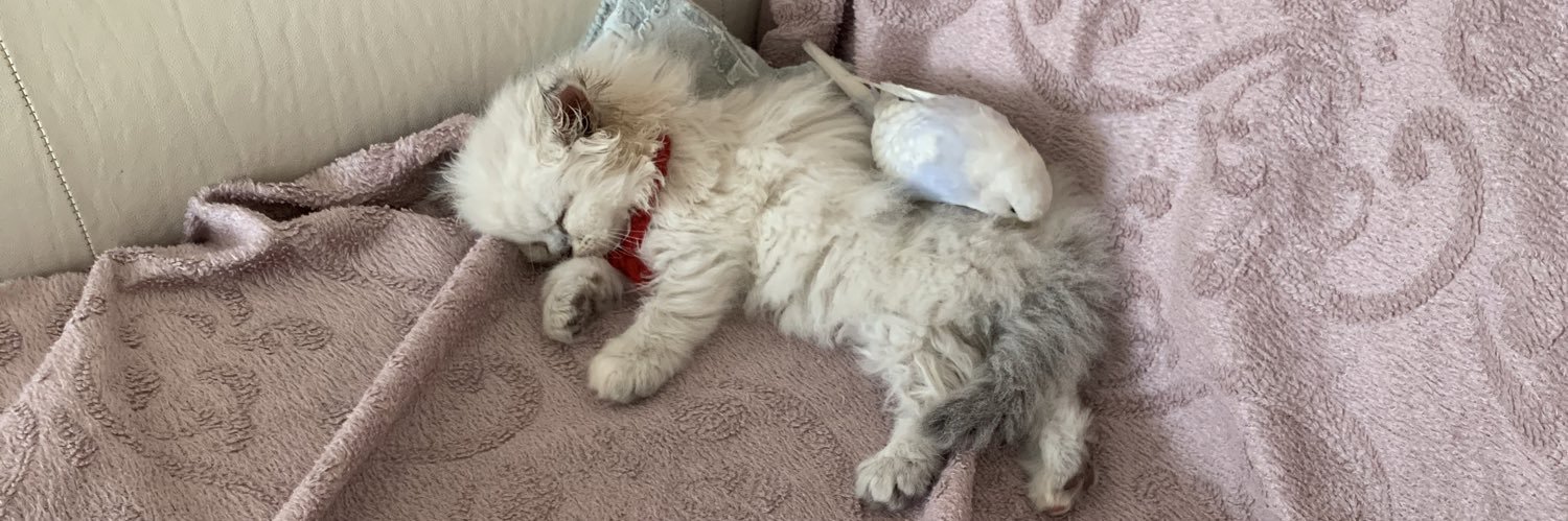 antares🇹🇷 banner