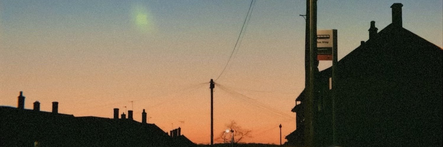 Diana P banner