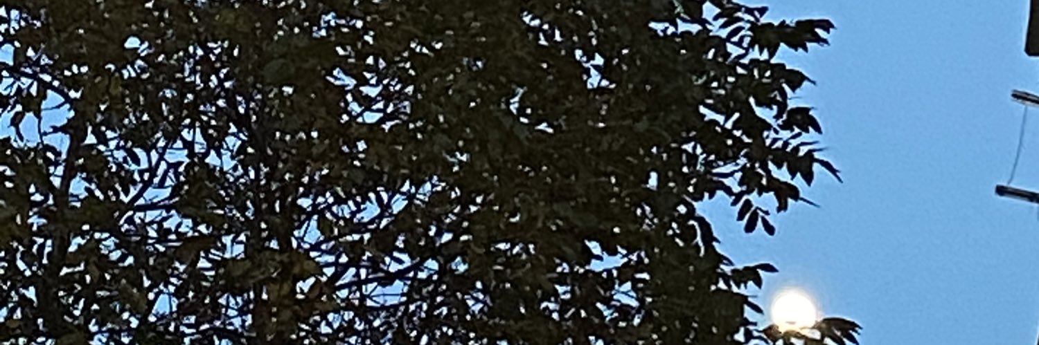 Brj1903's profile banner image