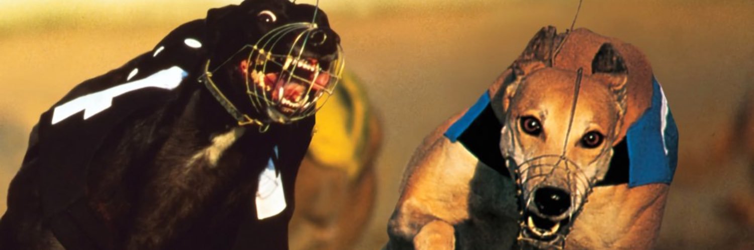 eericrivera's profile banner image