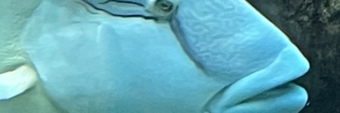 mone_style's profile banner image