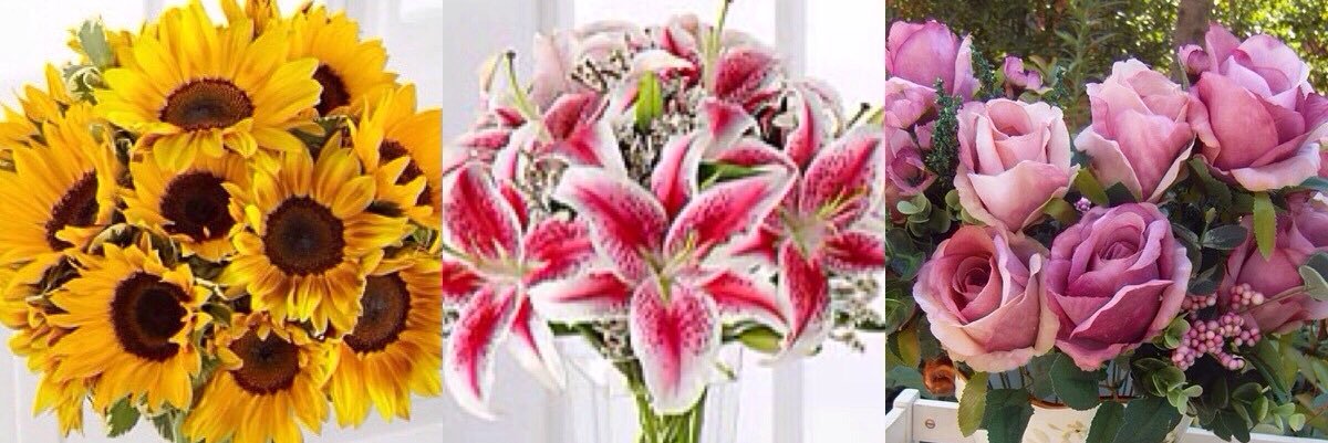 Sherlly_ima's profile banner image