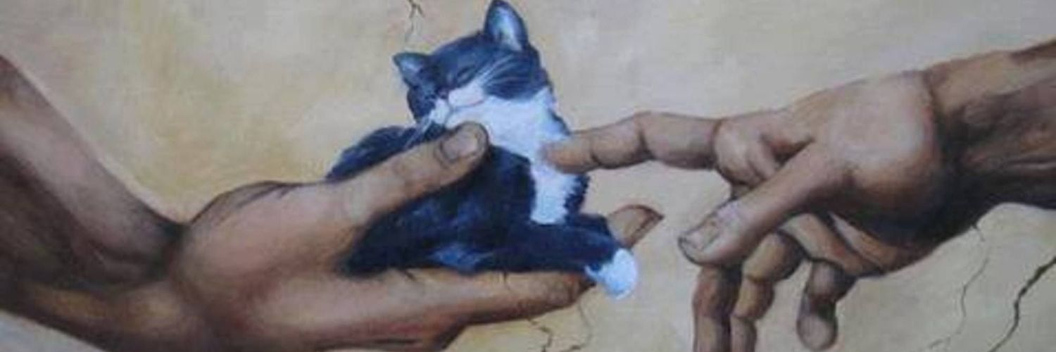 موسو 🇵🇸🔻📷🐱 banner