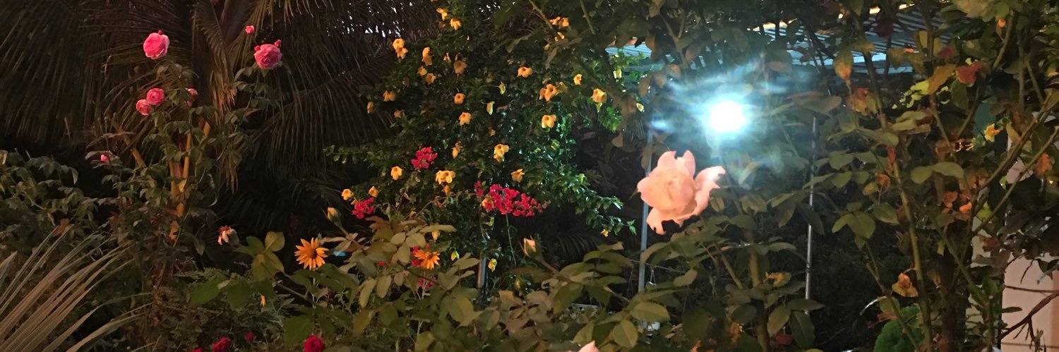 anhvo792's profile banner image