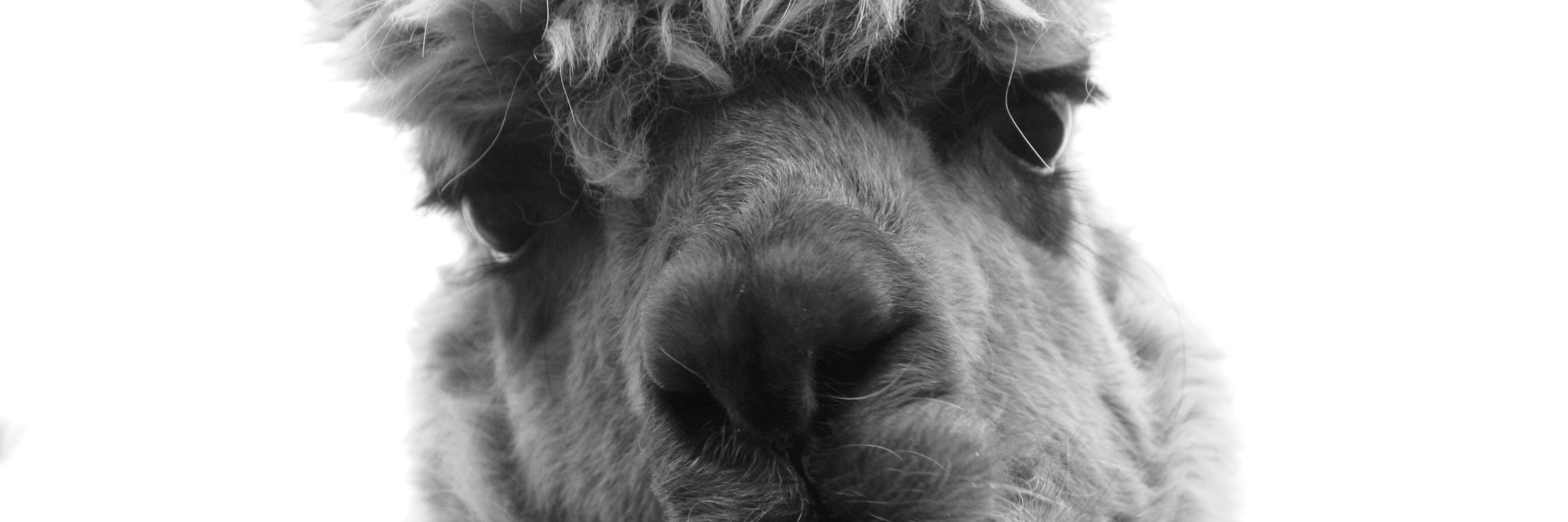 Mike O'Donnell banner