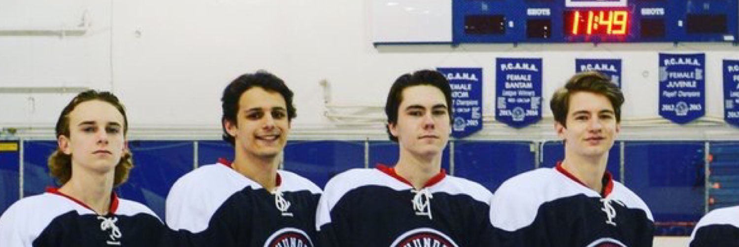 thepomer6's profile banner image