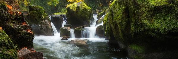 anubhageria07 Profile Banner