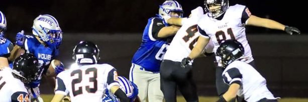 carson swanson banner