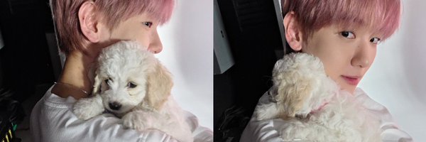 strwbrrynciggs Profile Banner