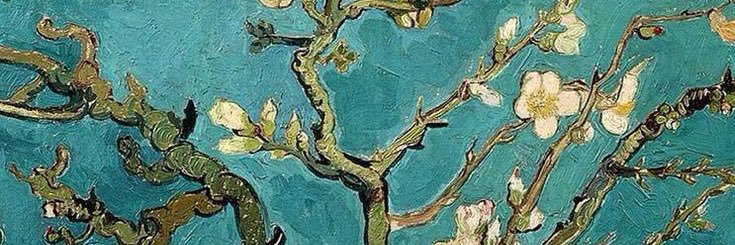 WuKefei banner