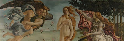 BOCBOC 🔰🌻🌸 banner