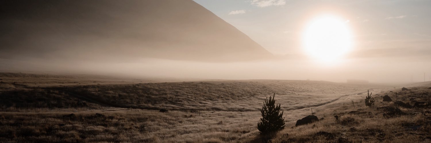 gillithompson's profile banner image