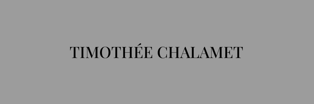 hourly timothée ✩彡 banner