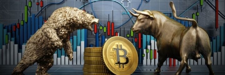 100%CRYPTO🥷 banner