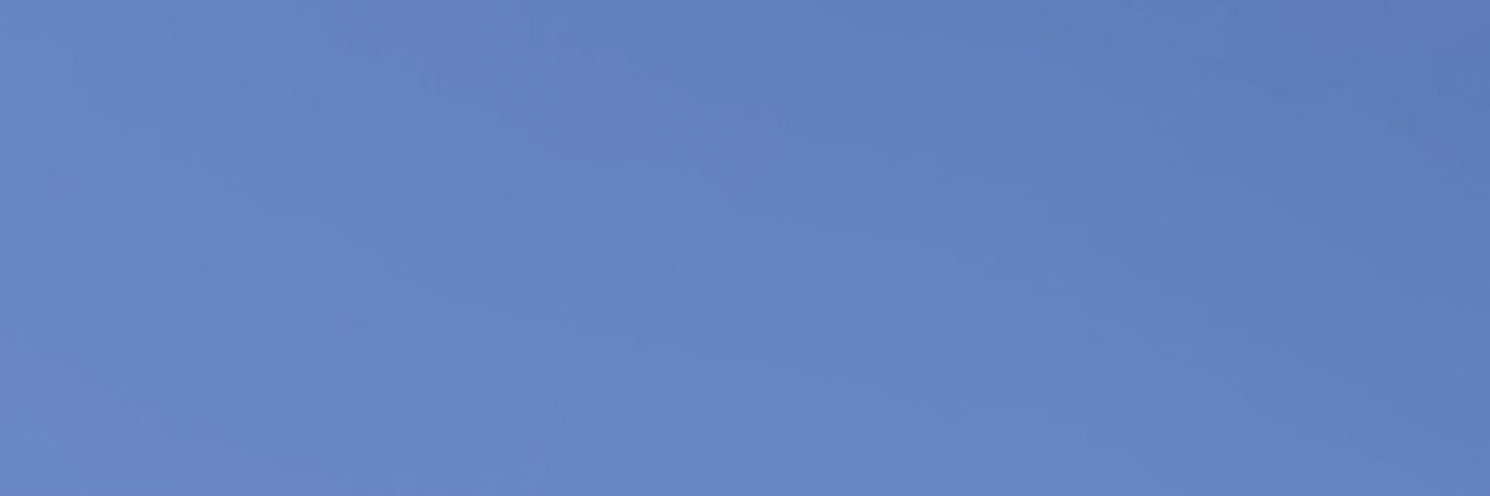 Haruto🦎 banner