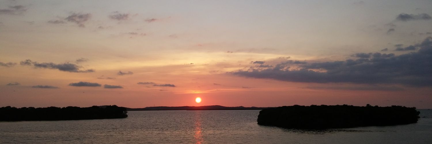 guzman1209's profile banner image
