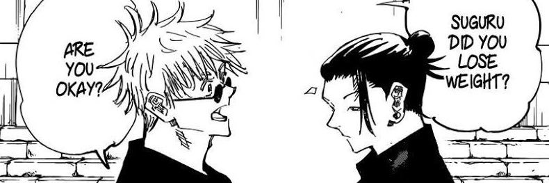 vi ✧ banner