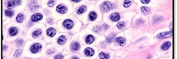 AceMyPath Profile Banner