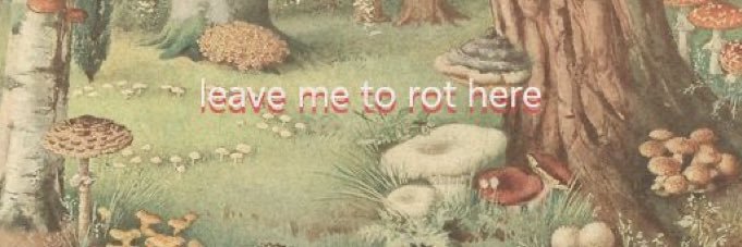 kolbshmolb's profile banner image