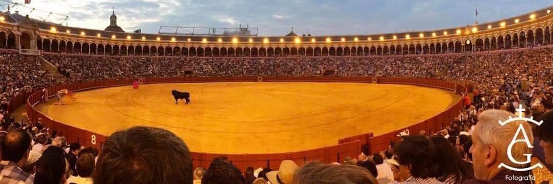 Andrea Grijalva D. banner