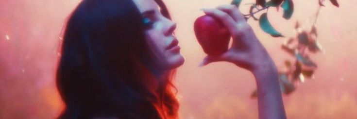 _BabyBrook_'s profile banner image