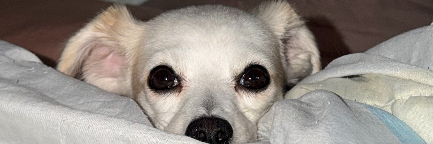 _louisejm's profile banner image