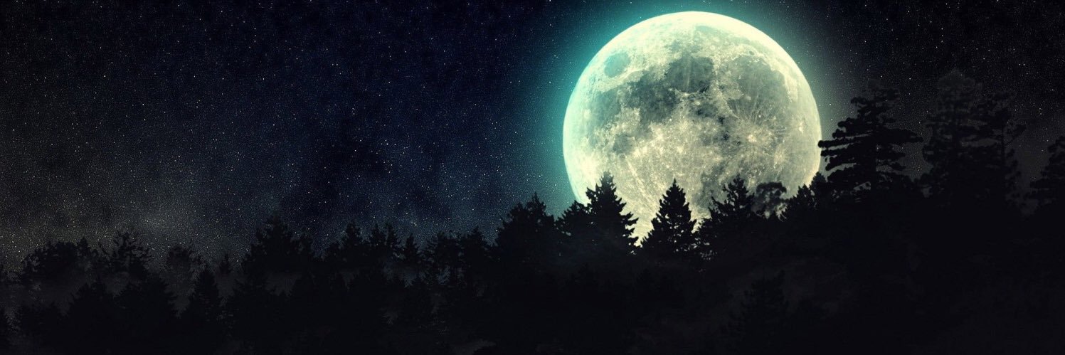 𐕣 y’vell 𐕣 banner