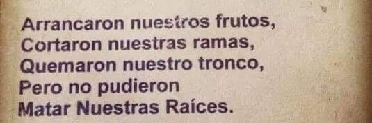 𝒄𝒖𝒃𝒆𝒏 🫀 banner