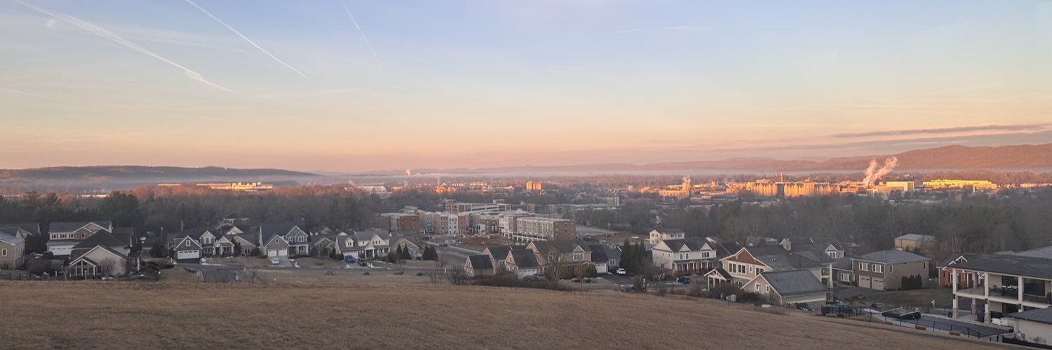 SallyAnn Gowen banner