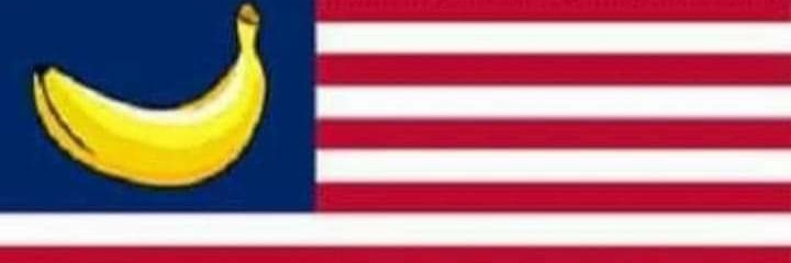 Virginia Coverdale Ingrim banner