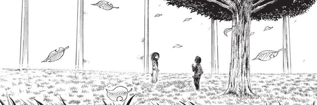 C. Turtle 🐢 banner