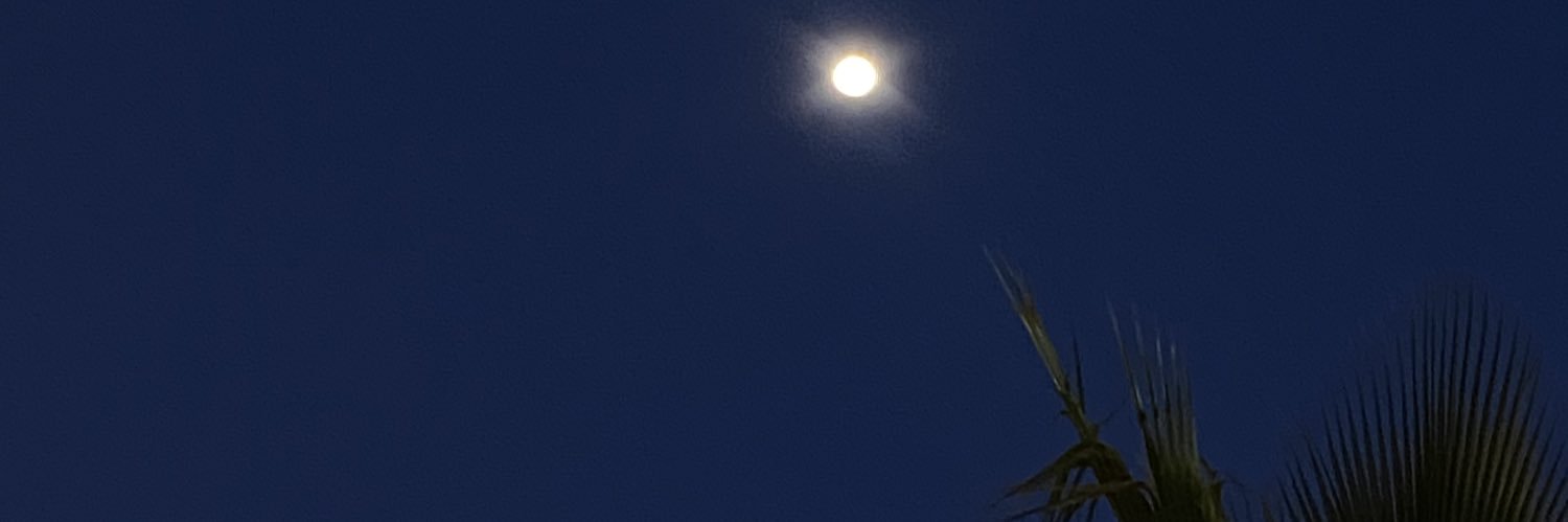 feffiito's profile banner image