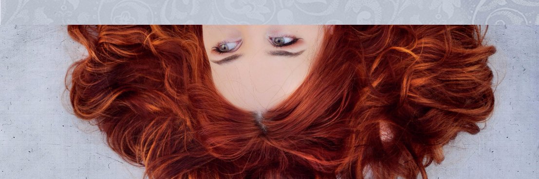 aranelb's profile banner image