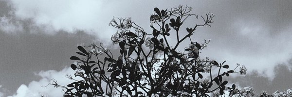 artofdy1ng Profile Banner
