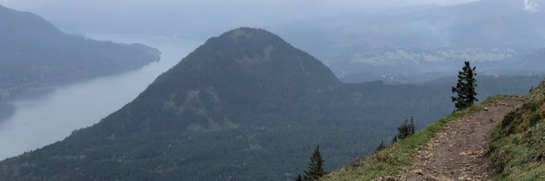 adi Profile Banner