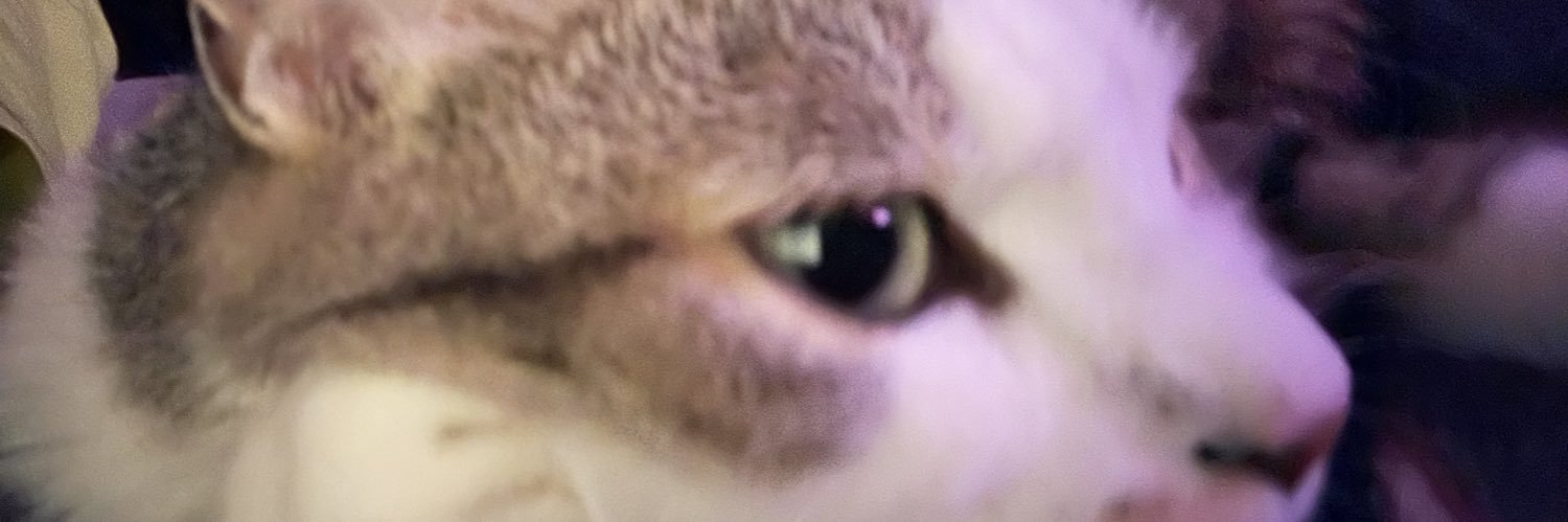 M8 Hugzston banner