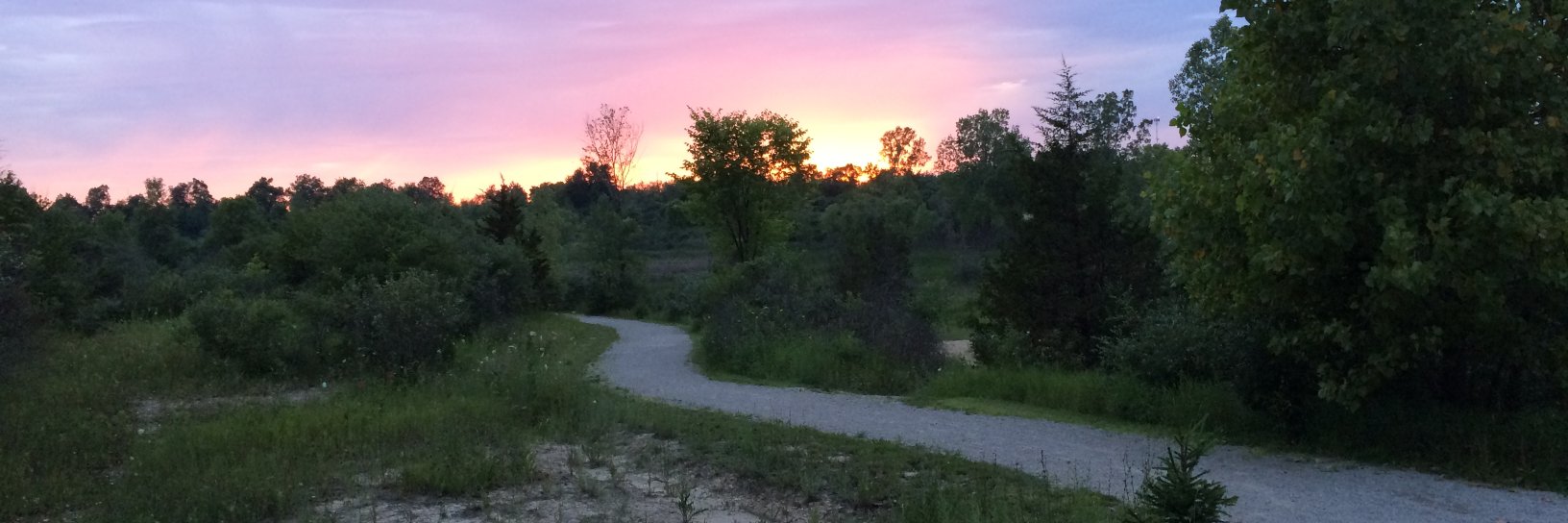 Dr Cat Sittingstill banner