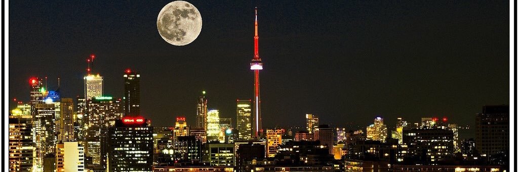 therealredroses's profile banner image