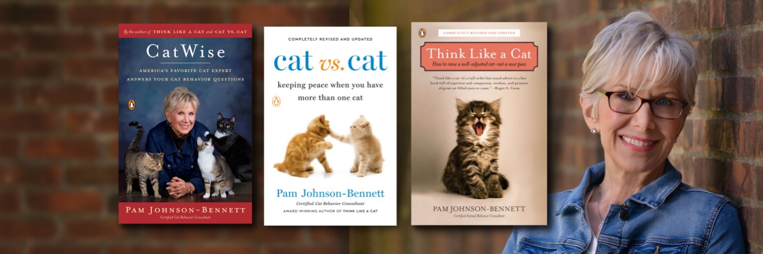 Pam Johnson-Bennett banner