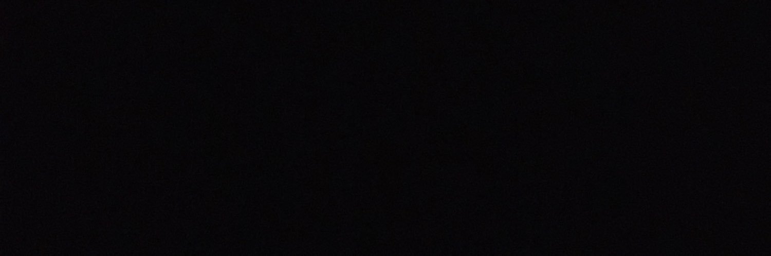 vibrant_vulture- banner