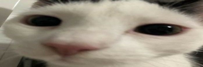 LovelyR96's profile banner image