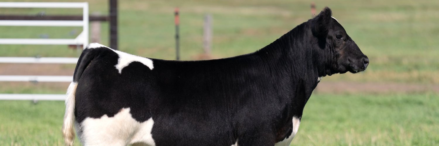 Corey Schuiteman banner