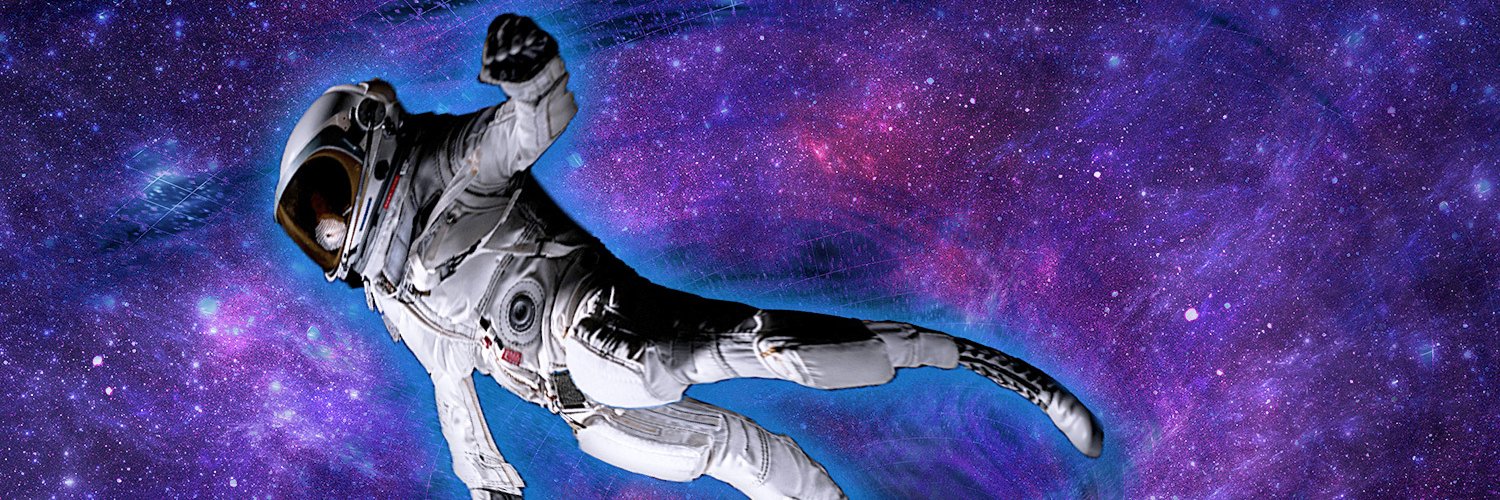 SVMIVMofficial's profile banner image
