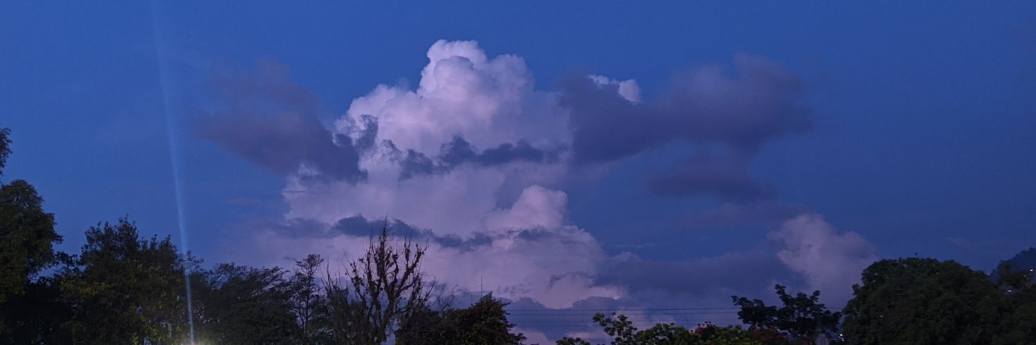 LauraEusse2's profile banner image