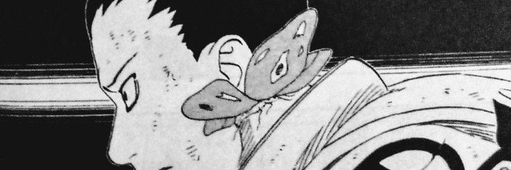 ffedechest4's profile banner image