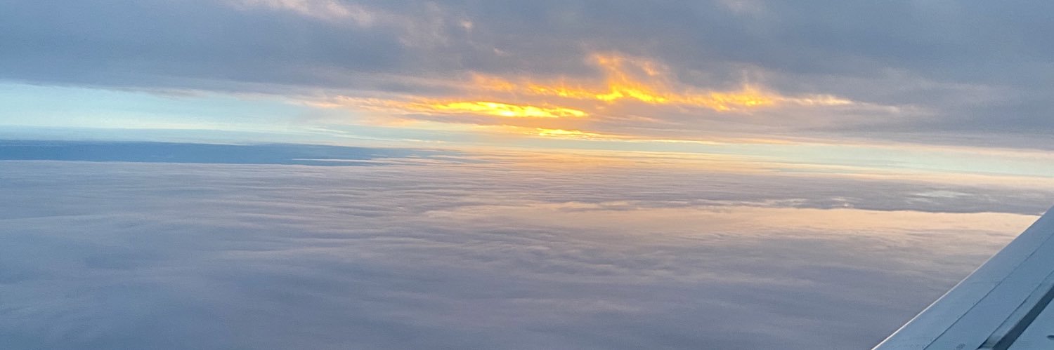 _themega1's profile banner image