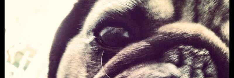 Gringo448's profile banner image