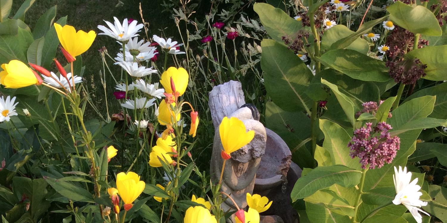 Bridget Kelley banner