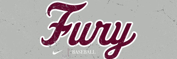 FuryBasebll Profile Banner