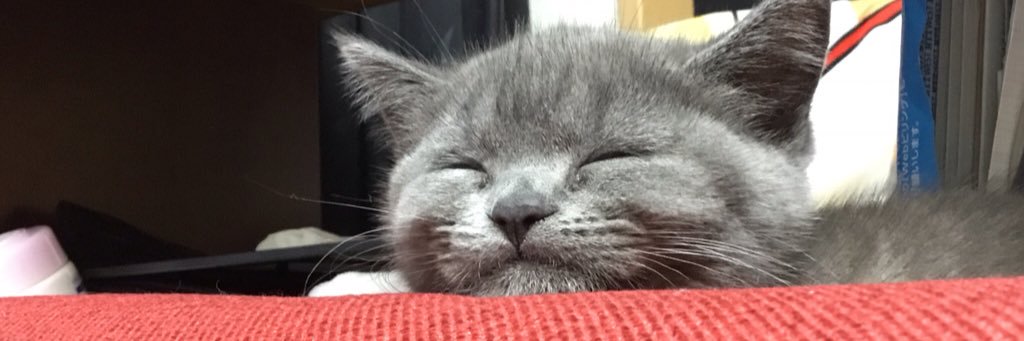ginfoxkyo's profile banner image